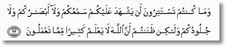arab 41 ayat 22